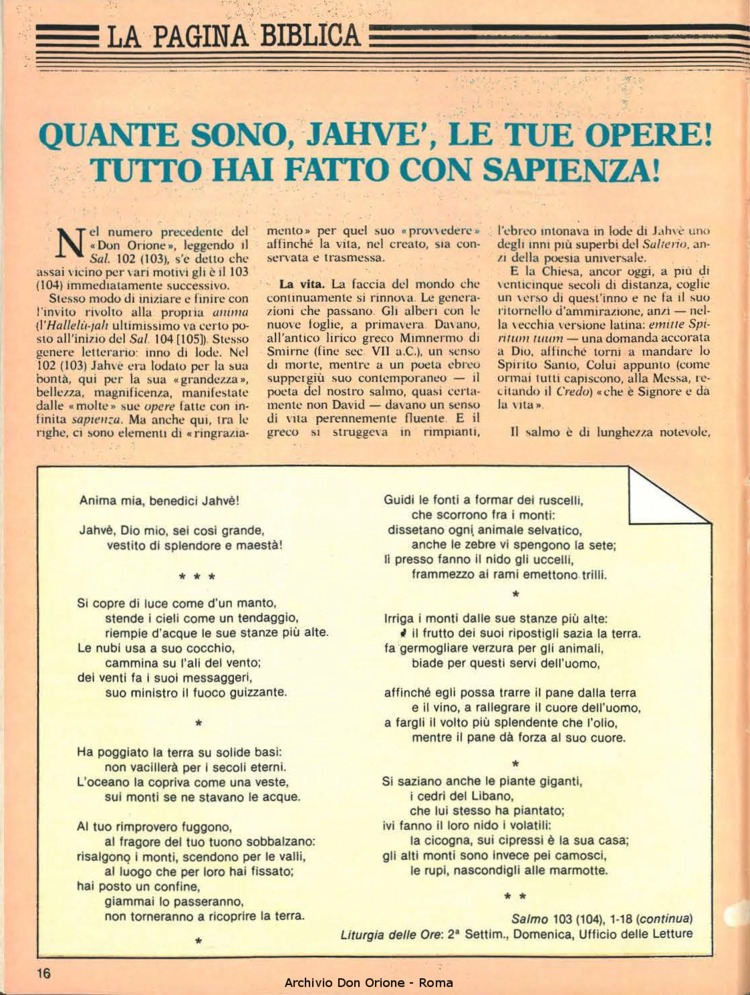 Don Orione, 80, 01, 01-01-1985, pagina 16