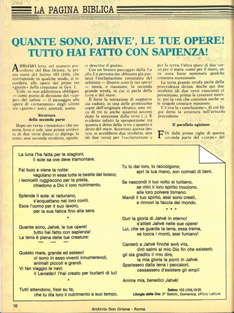 Don Orione, 80, 02, 01-02-1985, pagina 16