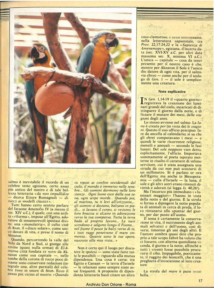 Don Orione, 80, 02, 01-02-1985, pagina 17