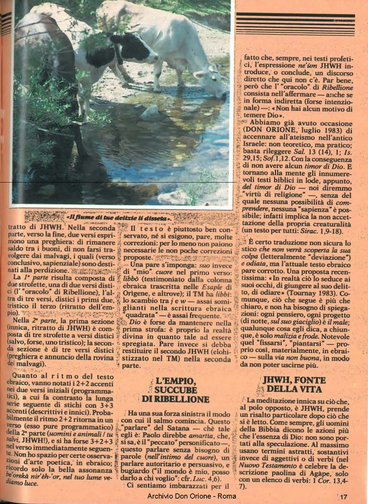 Don Orione, 81, 05, 01-05-1986, pagina 17