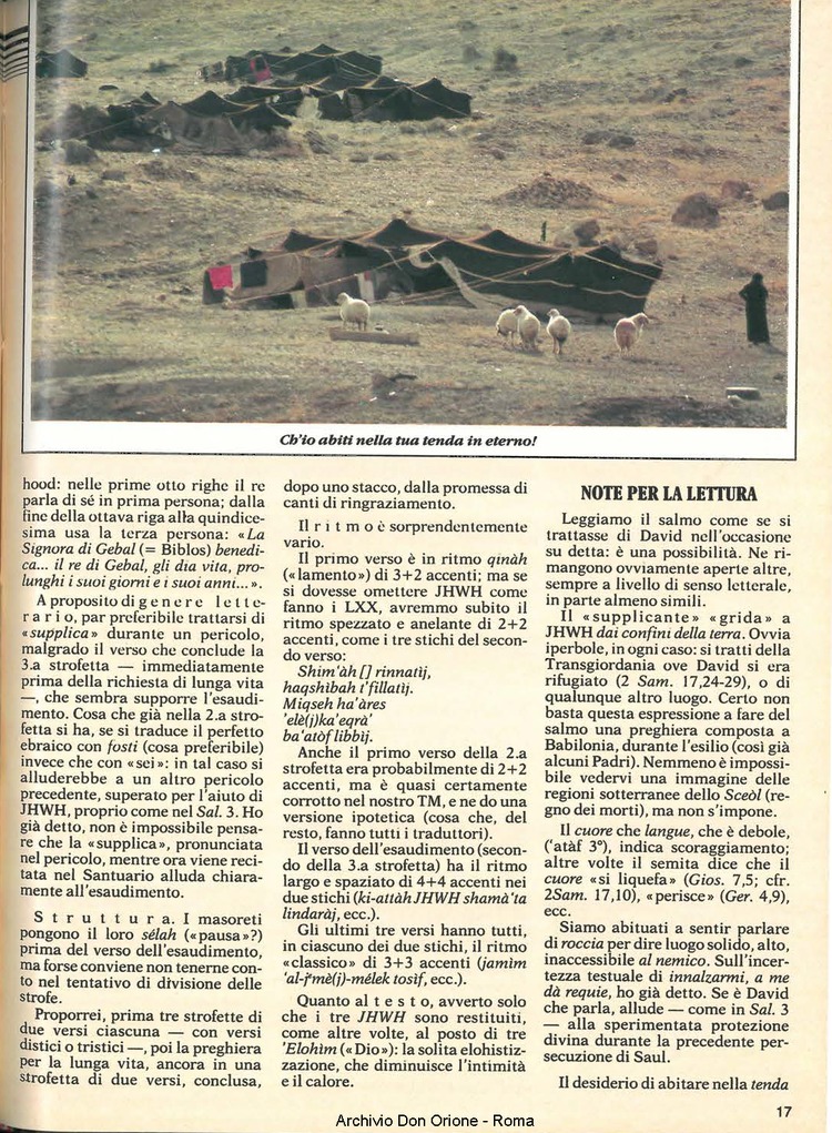 Don Orione, 81, 07, 01-07-1986, pagina 17