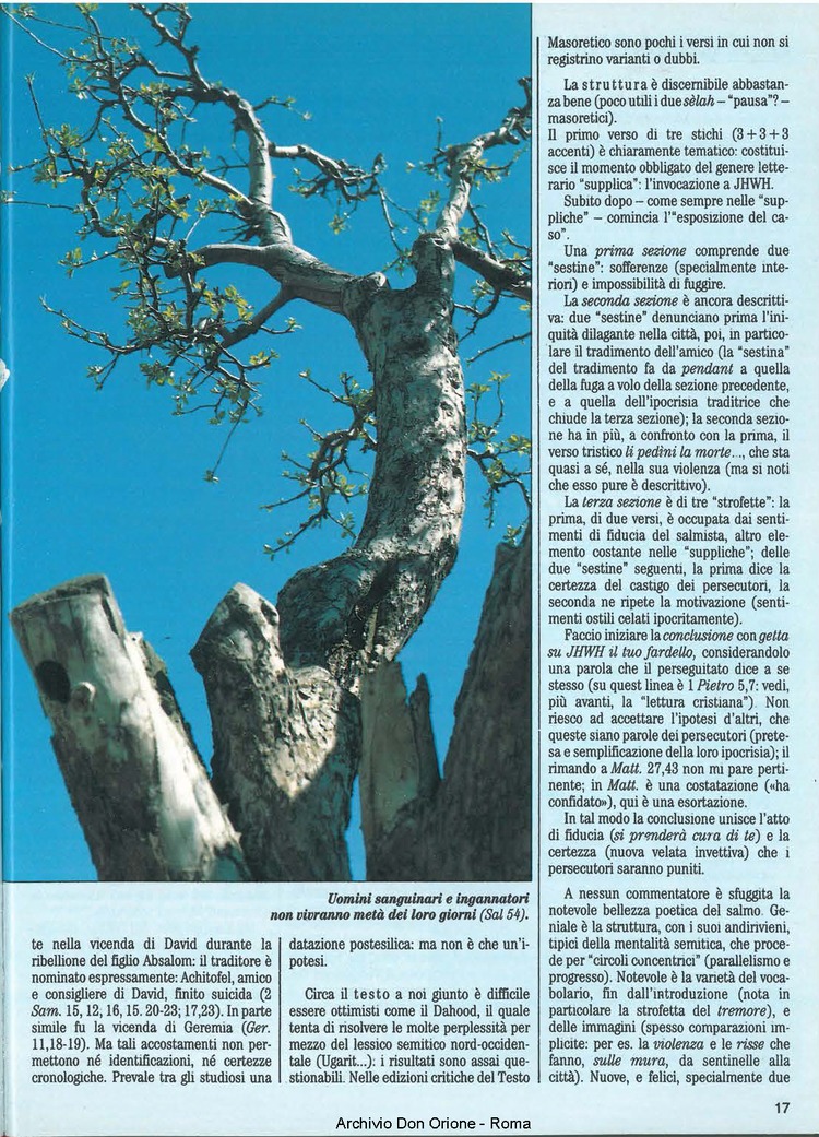 Don Orione, 84, 08, 01-10-1989, pagina 17