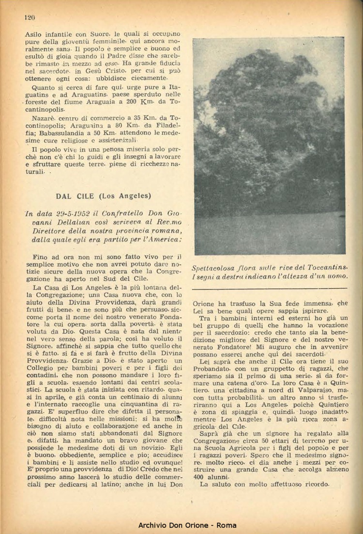 La piccola Opera della Divina Provvidenza, 47, 09, 01-09-1952, pagina 8