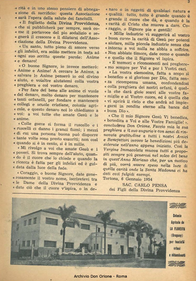 La piccola Opera della Divina Provvidenza, 49, 01, 01-01-1954, pagina 5