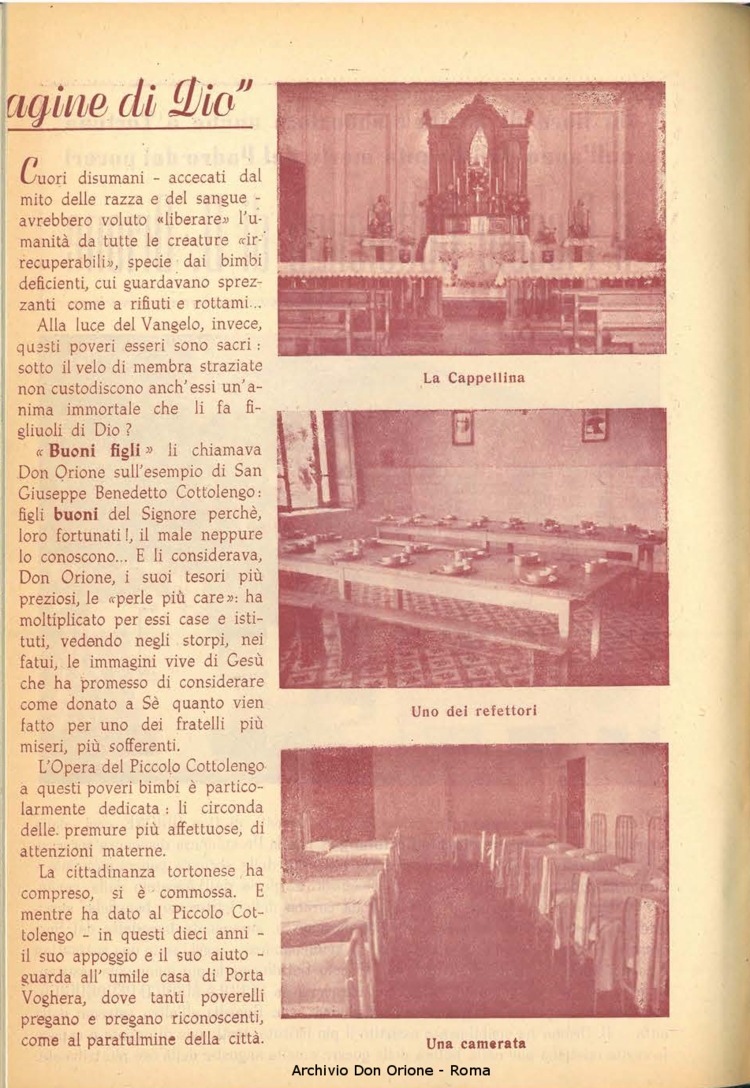 La piccola Opera della Divina Provvidenza, 53, 11, 01-11-1958, pagina 3