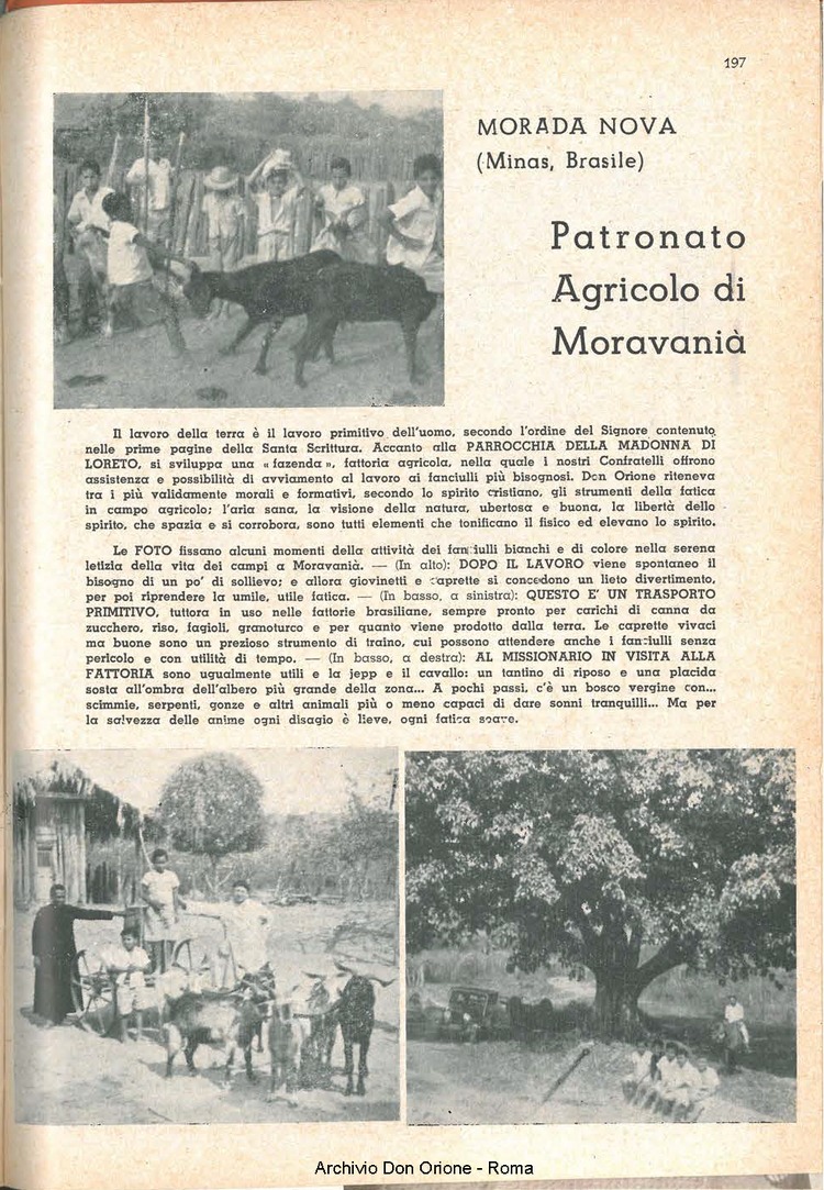 La piccola Opera della Divina Provvidenza, 56, 19, 01-10-1961, pagina 17