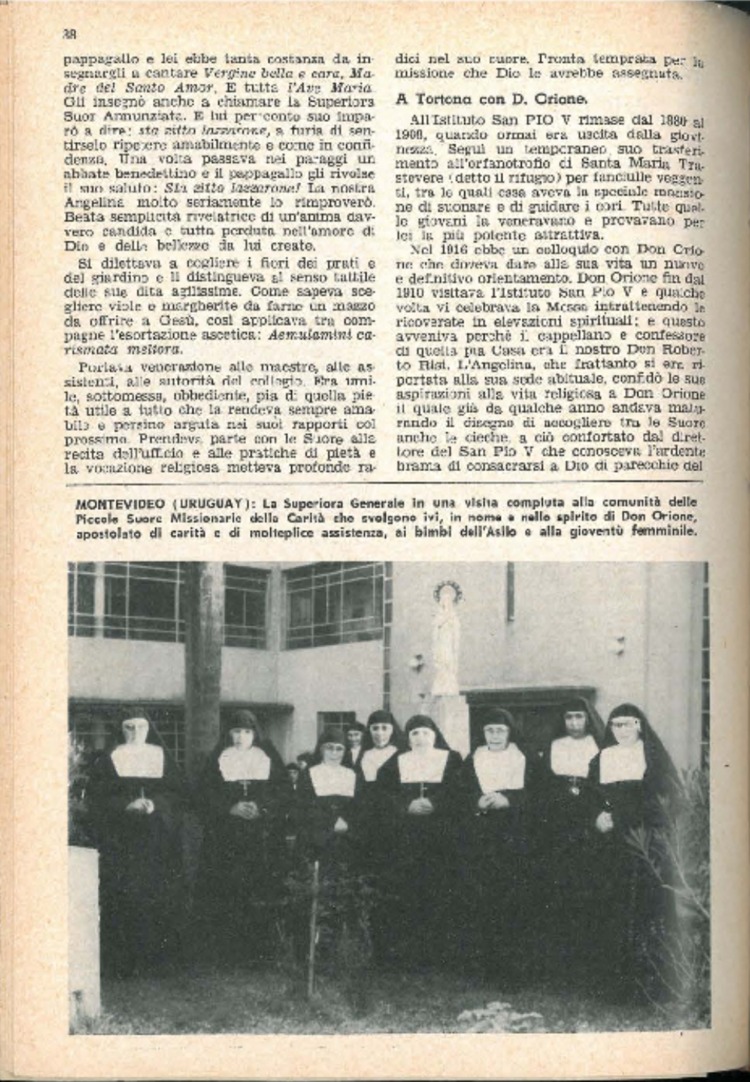 La piccola Opera della Divina Provvidenza, 59, 09, 01-05-1964, pagina 12