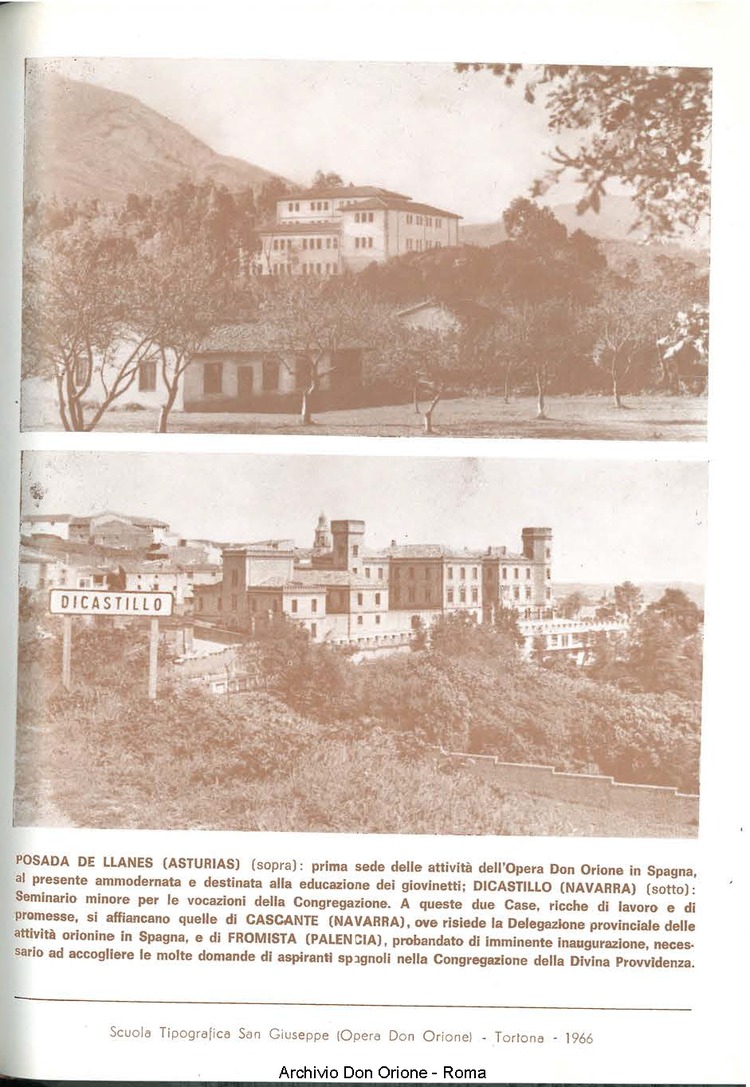 La piccola Opera della Divina Provvidenza, 61, 16, 03-08-1966, pagina 19