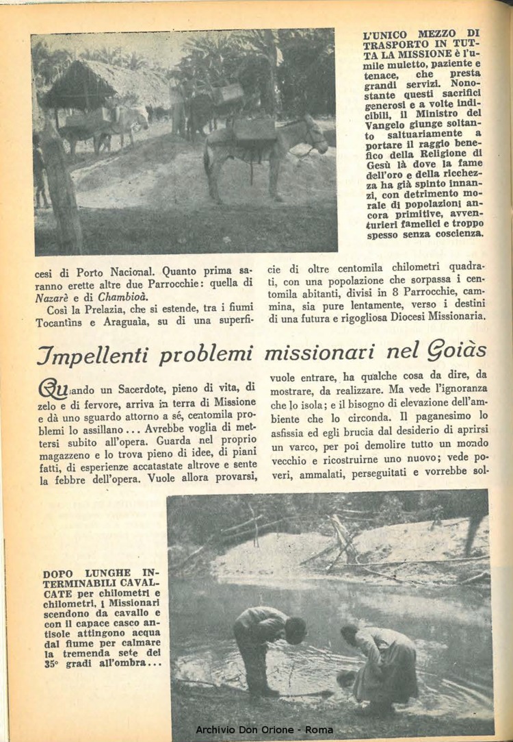 La piccola Opera della Divina Provvidenza, 64, 03, 01-02-1969, pagina 28