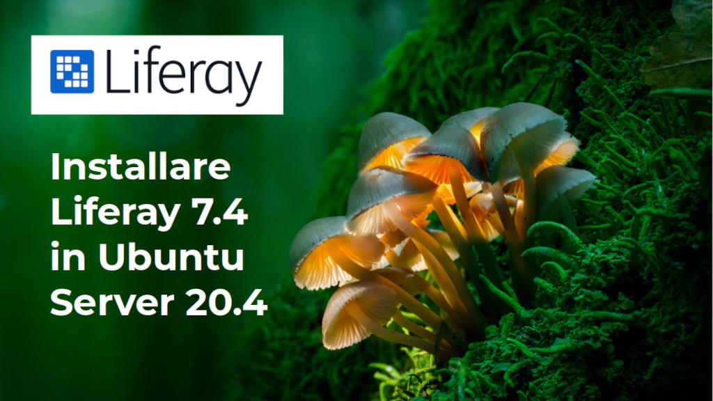 Installare Liferay 7.4 in Ubuntu Server 20.4: copertina